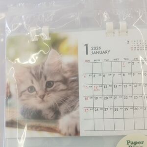 2026 Cat Calendar - White